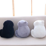 Coussin Fantaisie <br> Les Trois Petits Chatons - addiction-voyage