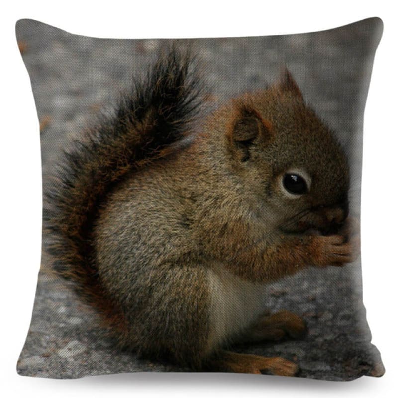 Housse Coussin Ecureuil | Coussin Voyageur